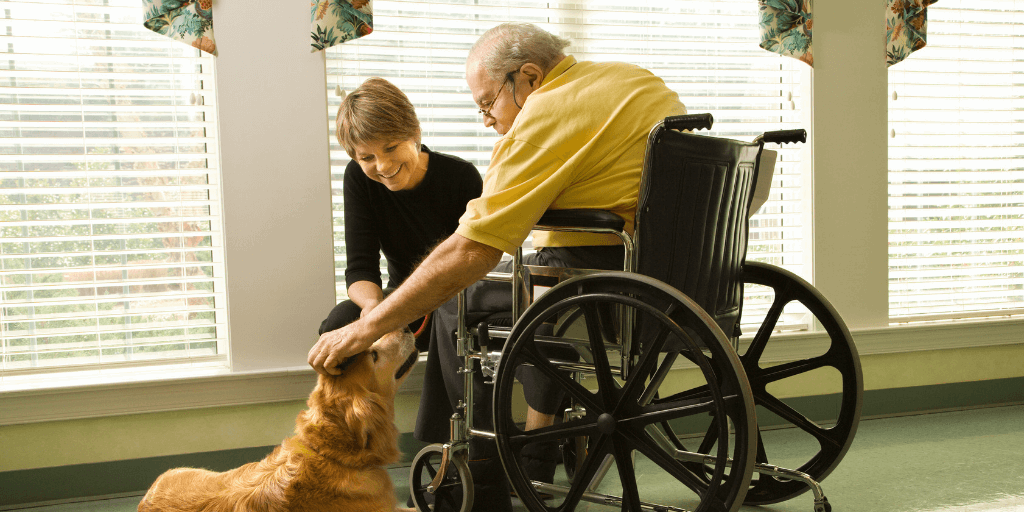 Two people petting a dog.