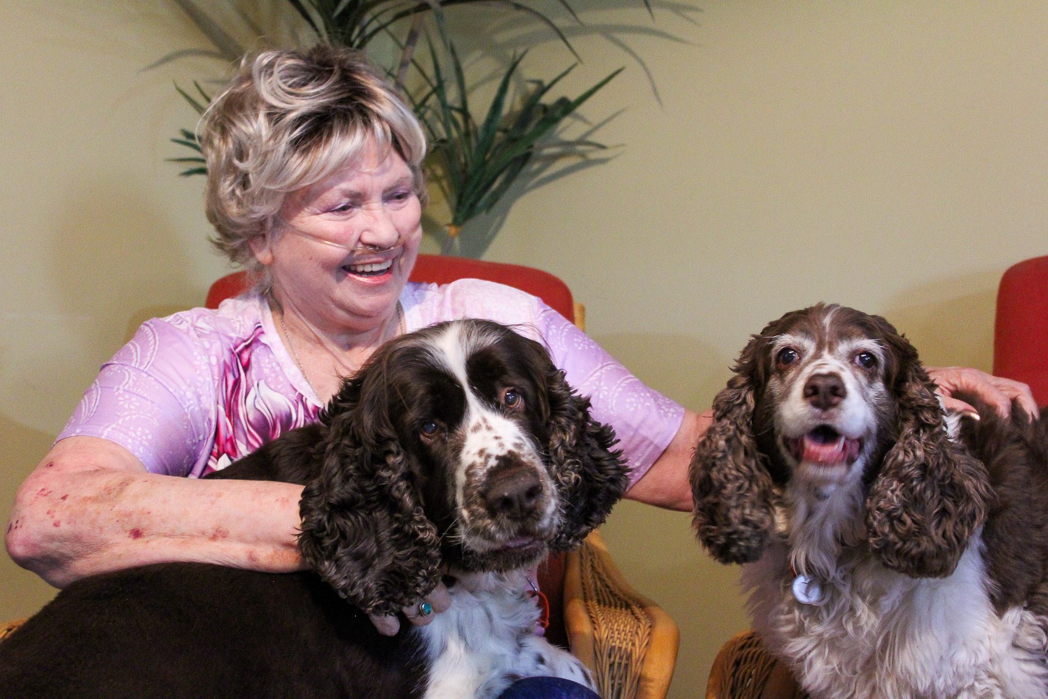 Woman sitting in living room with two dogs.